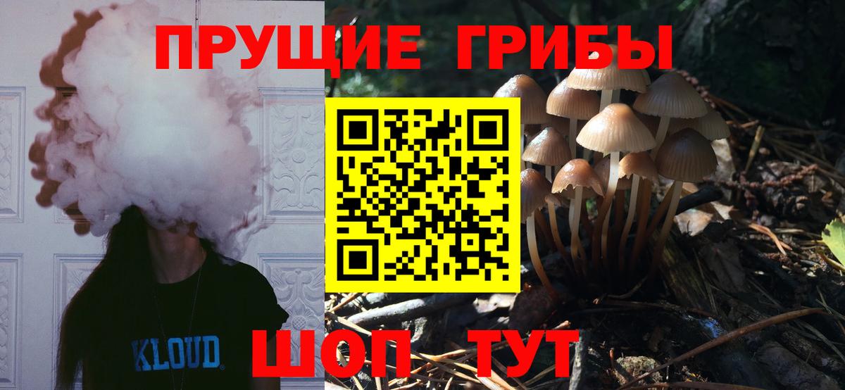 Псилоцибиновые грибы GOLDEN TEACHER Ачинск