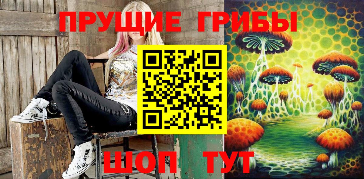 как найти закладки  Вход с VPN  Ачинск  Галлюциногенные грибы ЛСД 